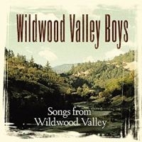 Wildwood Valley Boys - Songs From Wildwood Valley i gruppen CD hos Bengans Skivbutik AB (3205472)