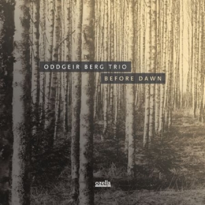 Berg Oddgeir (Trio) - Before Dawn i gruppen VINYL hos Bengans Skivbutik AB (3208017)