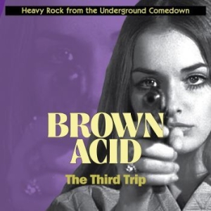 Various Artists - Brown Acid - The Third Trip i gruppen CD hos Bengans Skivbutik AB (3208350)