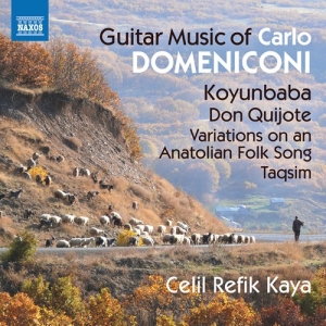 Domeniconi Carlo - Guitar Music i gruppen CD hos Bengans Skivbutik AB (3208490)