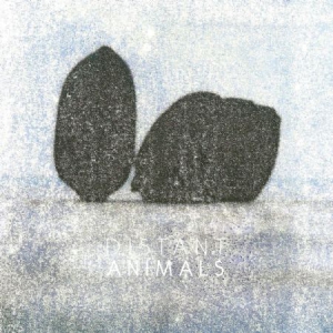 Distant Animals - Lines i gruppen VINYL hos Bengans Skivbutik AB (3212029)