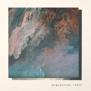 Chisholm Ben & Felix Skinner - Burgeoning Verse i gruppen VINYL hos Bengans Skivbutik AB (3212108)