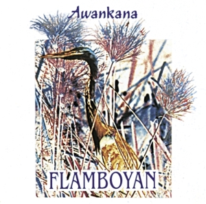 Awankana - Flamboyan i gruppen CD hos Bengans Skivbutik AB (3218431)