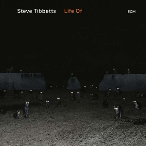 Steve Tibbetts - Life Of i gruppen CD hos Bengans Skivbutik AB (3223581)