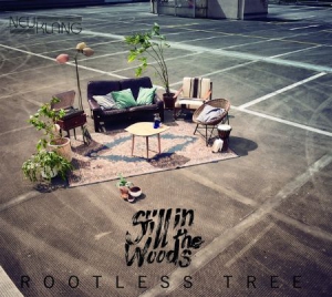 Still In The Woods - Rootless Tree i gruppen CD hos Bengans Skivbutik AB (3225169)