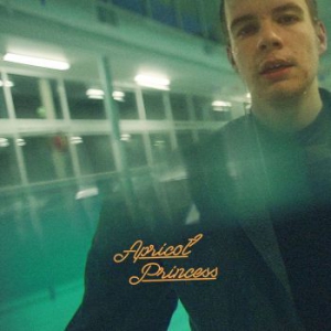 Rex Orange County - Apricot Princess (Orange Vinyl) i gruppen VINYL / Pop-Rock hos Bengans Skivbutik AB (3226628)