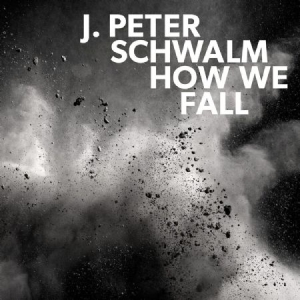 Schwalm J.Peter - How We Fall i gruppen VINYL hos Bengans Skivbutik AB (3227679)