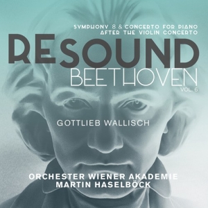 Beethoven Ludwig Van - Resound Beethoven, Vol. 6: Symphony i gruppen VI TIPSER / Julegavetips CD hos Bengans Skivbutik AB (3231047)