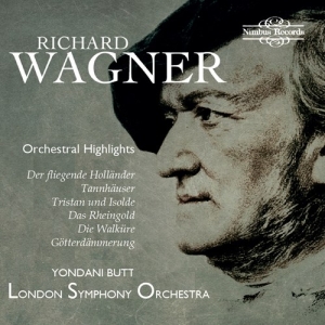 Wagner Richard - Orchestral Highlights i gruppen CD hos Bengans Skivbutik AB (3231090)