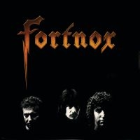 Fortnox - Fortnox i gruppen VI TIPSER / Julegavetips CD hos Bengans Skivbutik AB (3234578)