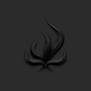 Bury Tomorrow - Black Flame i gruppen VINYL hos Bengans Skivbutik AB (3236650)