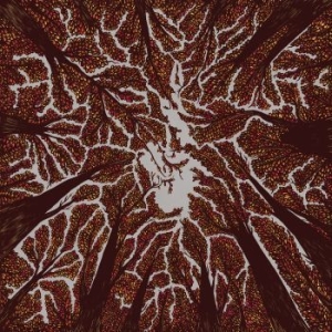 Trash Boat - Crown Shyness i gruppen CD hos Bengans Skivbutik AB (3249013)