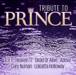 Various Artists - Tribute To Prince i gruppen VI TIPSER / Julegavetips CD hos Bengans Skivbutik AB (3250540)