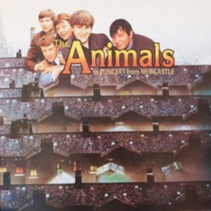 Animals - In Concert From Newcastle 1963 i gruppen Minishops / Animals hos Bengans Skivbutik AB (3264665)