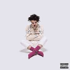 Yungblud - 21St Century Liability i gruppen Minishops / Yungblud hos Bengans Skivbutik AB (3265305)