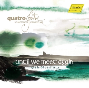 Various - Until We Meet Again: Irish Blessing i gruppen CD hos Bengans Skivbutik AB (3265329)