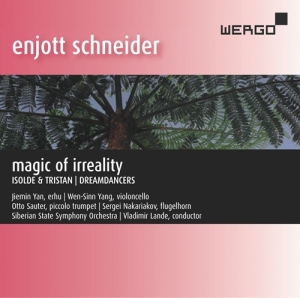 Schneider Enjott - Magic Of Irreality i gruppen CD hos Bengans Skivbutik AB (3266800)