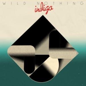 Wild nothing - Indigo i gruppen CD hos Bengans Skivbutik AB (3266977)