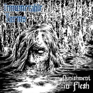 Innumerable Forms - Punishment In Flesh (Vinyl) i gruppen VINYL hos Bengans Skivbutik AB (3267202)