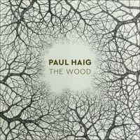 Haig Paul - Wood i gruppen CD hos Bengans Skivbutik AB (3275460)