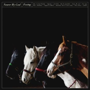 Foxing - Nearer My God i gruppen VINYL hos Bengans Skivbutik AB (3277406)