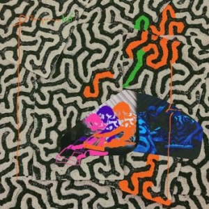 Animal Collective - Tangerine Reef i gruppen VINYL hos Bengans Skivbutik AB (3299018)