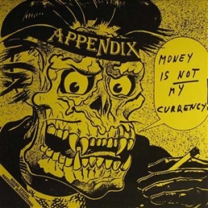 Appendix - Money Is Not My Currency (Raha Ei O i gruppen VINYL hos Bengans Skivbutik AB (3304463)