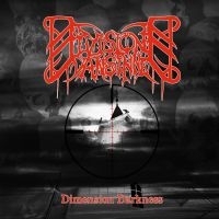 Division Vansinne - Dimension Darkness i gruppen CD hos Bengans Skivbutik AB (3308079)