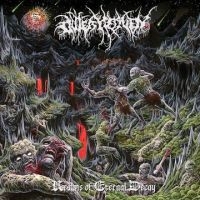 Outer Heaven - Realms Of Eternal Decay i gruppen VINYL hos Bengans Skivbutik AB (3317235)