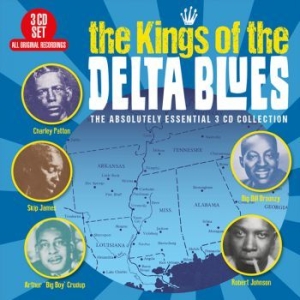 Various Artists - Kings Of The Delta Blues i gruppen CD hos Bengans Skivbutik AB (3320103)