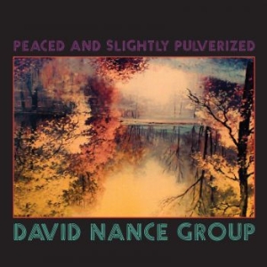 David Nance Group - Peaced And Slightly Pulverized (Ltd i gruppen VINYL hos Bengans Skivbutik AB (3321513)