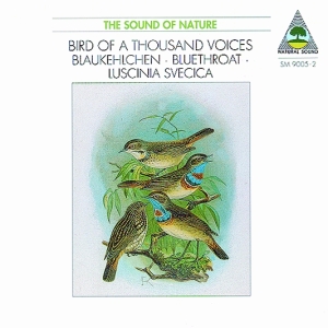 Natural Sound Recorded By Walter Ti - Bluethroat (Luscinia Svenica) - Bir i gruppen CD hos Bengans Skivbutik AB (3322409)