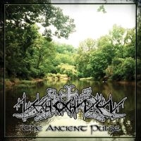 Nechochwen - The Ancient Pulse i gruppen CD hos Bengans Skivbutik AB (3323251)