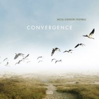 Mezza/Ginsburg Ensemble - Convergence i gruppen CD hos Bengans Skivbutik AB (3323370)