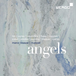 Various - Angels i gruppen CD hos Bengans Skivbutik AB (3329204)