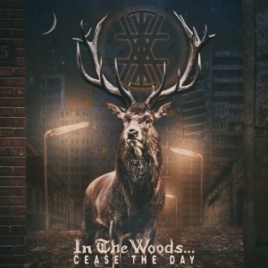 In The Woods - Cease The Day (2 Lp) i gruppen VINYL hos Bengans Skivbutik AB (3329453)