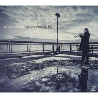 Weiss David - When Words Fail i gruppen CD hos Bengans Skivbutik AB (3334939)