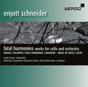 Schneider Enjott - Fatal Harmonies i gruppen VI TIPSER / Julegavetips CD hos Bengans Skivbutik AB (3335738)