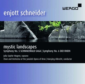 Schneider Enjott - Mystic Landscapes i gruppen VI TIPSER / Julegavetips CD hos Bengans Skivbutik AB (3335739)