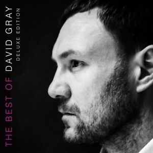 Gray David - Best Of David Gray (+ Bok) i gruppen Minishops / David Gray hos Bengans Skivbutik AB (3339984)