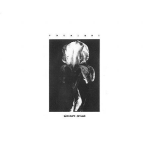 Prurient - Pleasure Ground i gruppen VINYL hos Bengans Skivbutik AB (3408555)