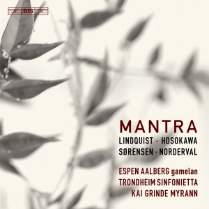 Various - Mantra i gruppen Musikk / SACD / Klassisk hos Bengans Skivbutik AB (3460925)