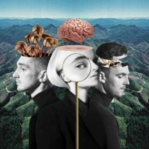 Clean Bandit - What Is Love? i gruppen CD hos Bengans Skivbutik AB (3468691)