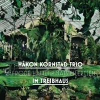 Kornstad Håkon - Im Triebhaus i gruppen CD hos Bengans Skivbutik AB (3478291)