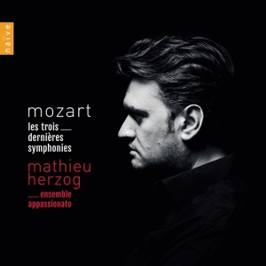 Mozart W A - The Last Three Symphonies (2Cd) i gruppen CD hos Bengans Skivbutik AB (3478361)