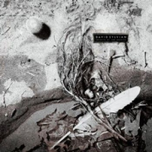 David Sylvian - Secrets Of The Beehive (Vinyl) i gruppen VINYL hos Bengans Skivbutik AB (3489421)