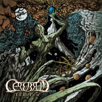 Cerebrum - Iridium i gruppen CD hos Bengans Skivbutik AB (3489577)