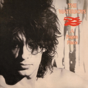 The Waterboys - A Pagan Place i gruppen Minishops / Waterboys hos Bengans Skivbutik AB (3489862)