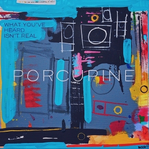 Porcupine - What You've Heard Isn't Real i gruppen VINYL hos Bengans Skivbutik AB (3490599)