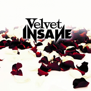 Velvet Insane - Velvet Insane i gruppen CD hos Bengans Skivbutik AB (3495391)